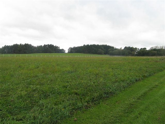 obr216